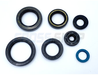 OIL SEALS KIT 250/300 EV 15->
