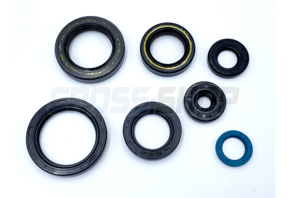 OIL SEALS KIT 250/300 EV 15->
