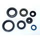 OIL SEALS KIT 250/300 EV 15->