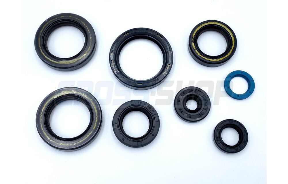 OIL SEAL KIT 250/300 2T ES MY 2019