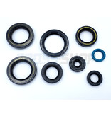 TM Moto OIL SEAL KIT 250/300 2T ES MY 2019