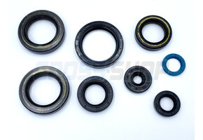 OIL SEAL KIT 250/300 2T ES MY 2019