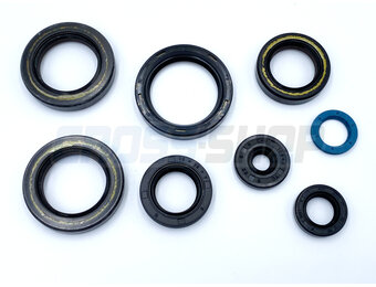 OIL SEAL KIT 250/300 2T ES MY 2019