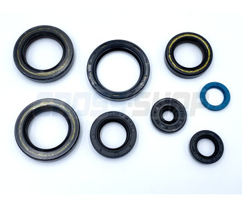 OIL SEAL KIT 250/300 2T ES MY 2019