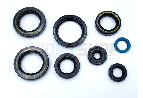 OIL SEAL KIT 250/300 2T ES MY 2019