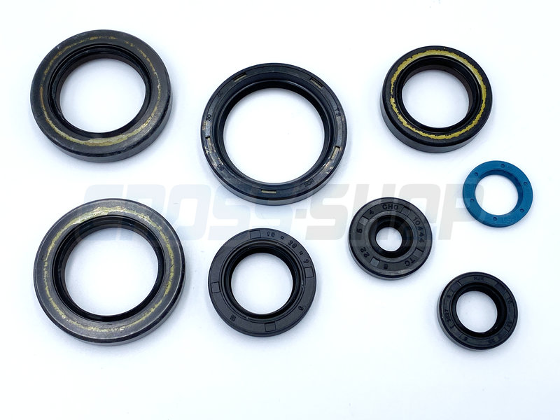 TM Moto OIL SEAL KIT 250/300 2T ES MY 2019