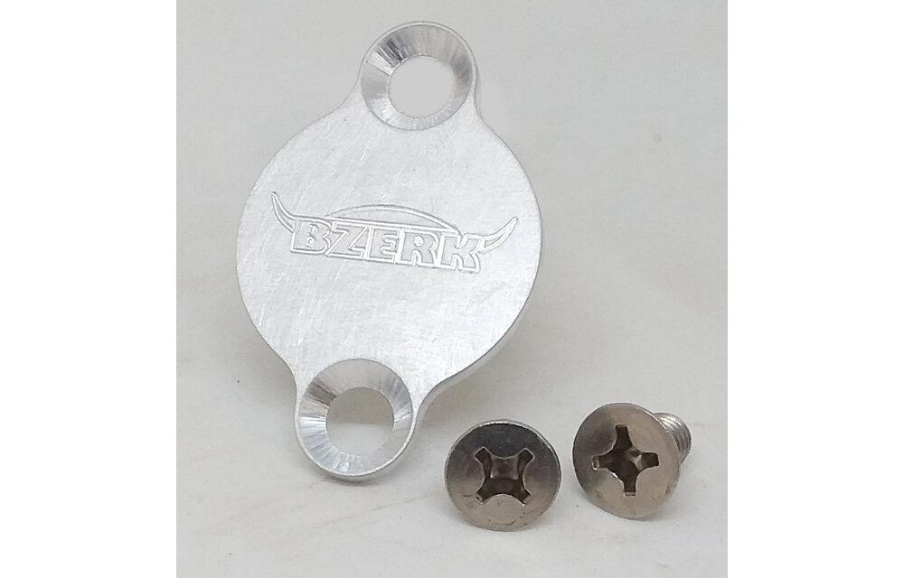 Bzerk STEERING LOCK PLUG