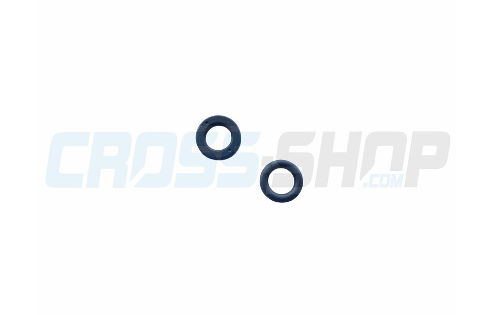 Set OR+ Seal ring Keihin Injector