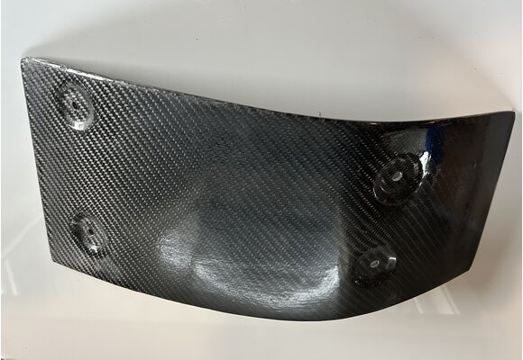 Carbon skid plate 2005-2007 250/450 4T