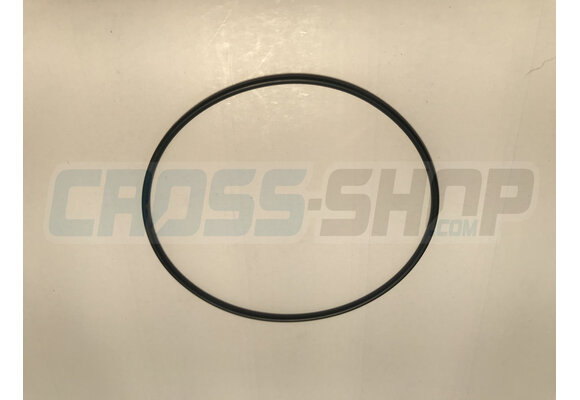 O RING TAPPO M 0160-20