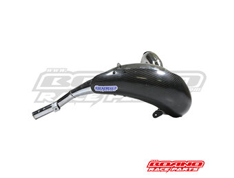 Carbon Pipe Guard 2019+ TM 250/300 2T
