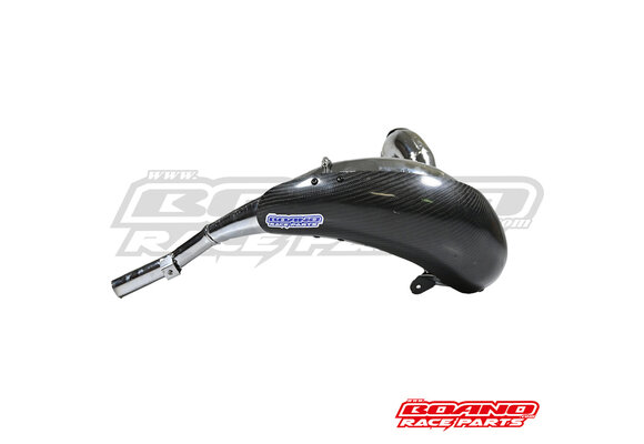 Carbon Pipe Guard 2019+ TM 250/300 2T