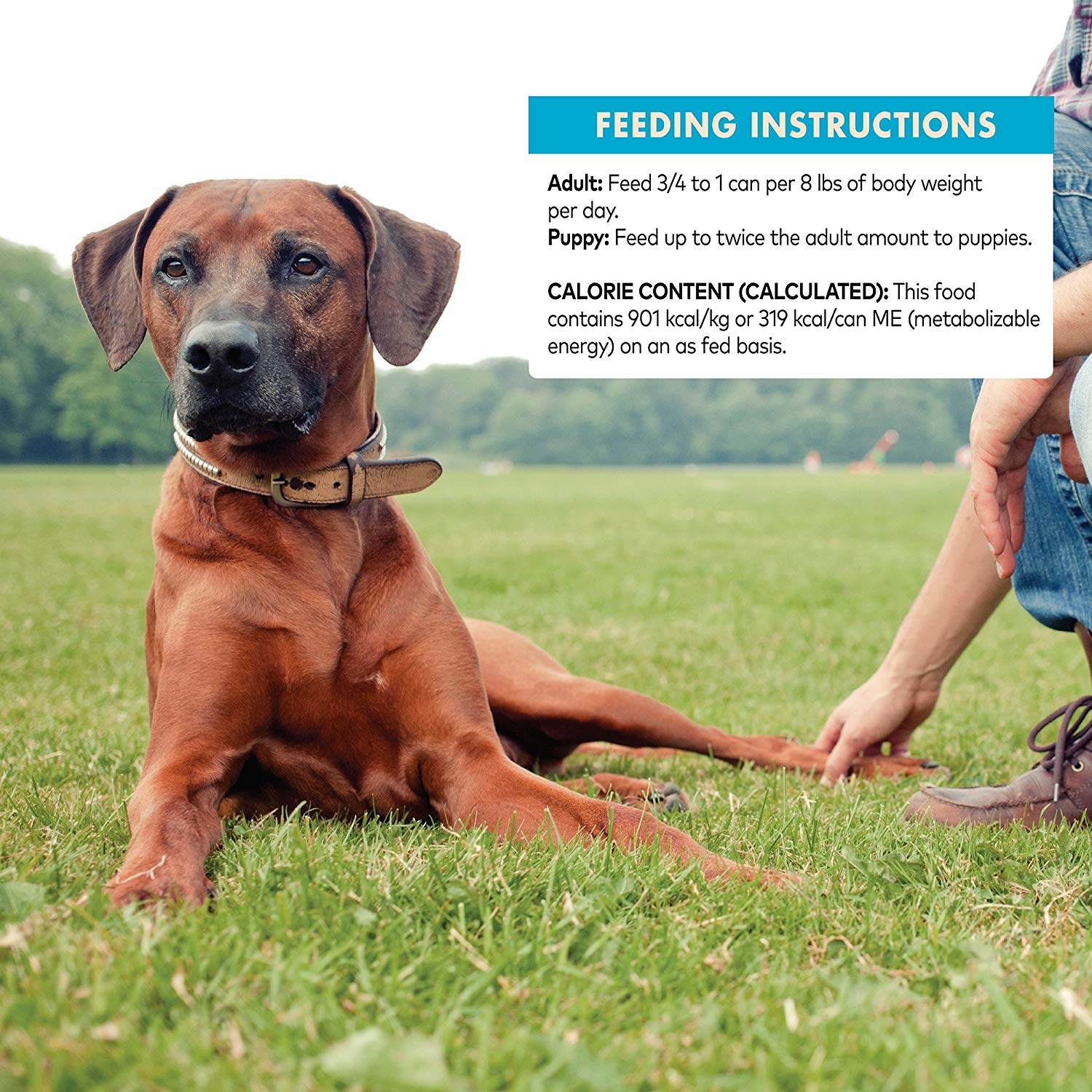 wellness core hearty cuts