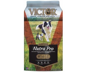 nutra pro dog food