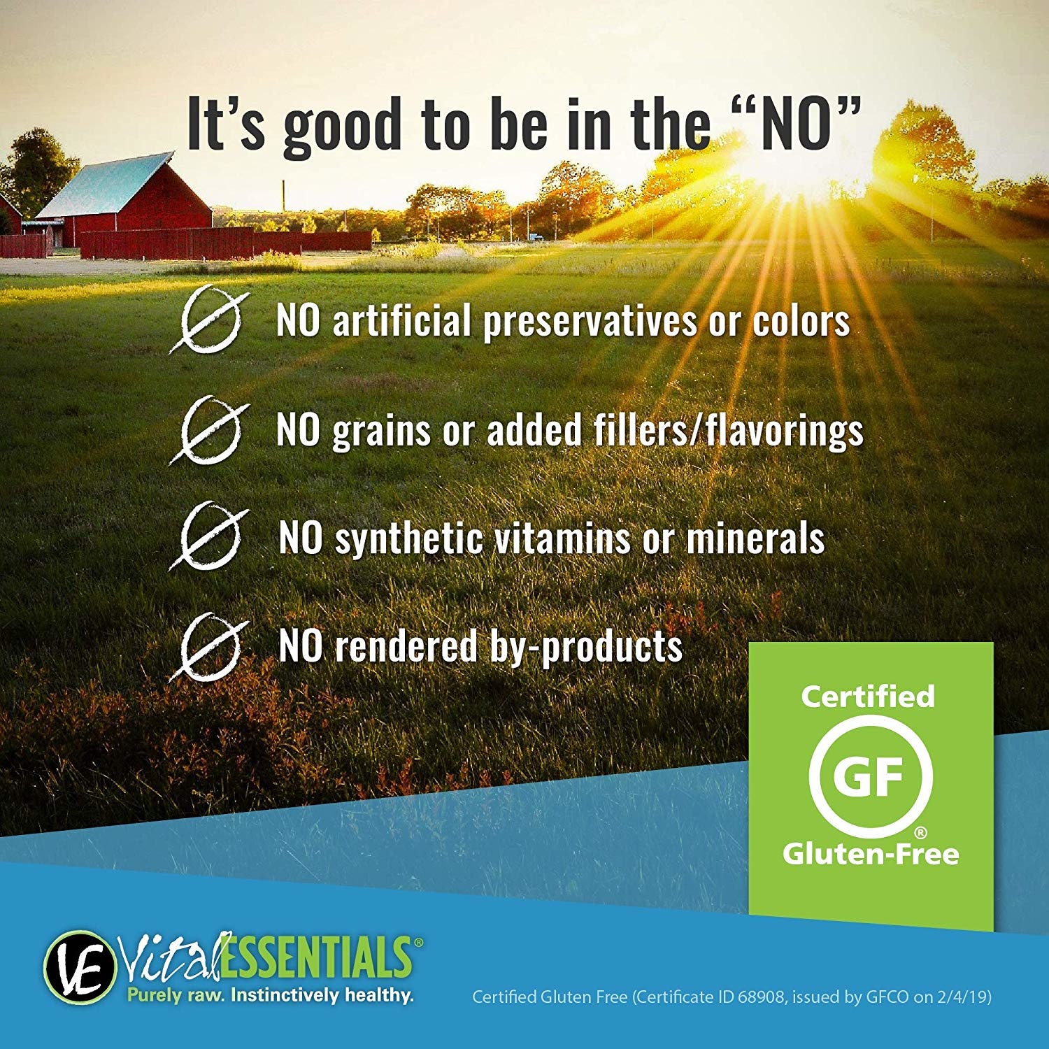 vital essentials beef nibs