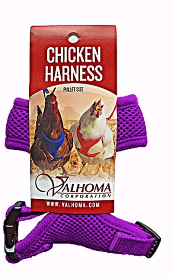 Valhoma Chicken Harness Purple XS