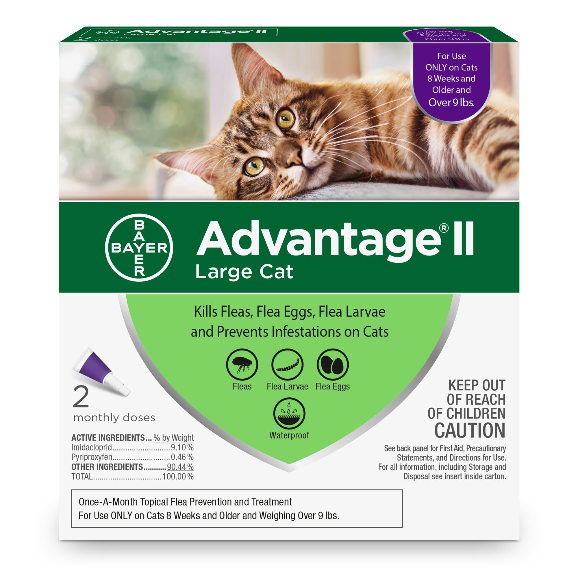 advantage large cat 2 pack
