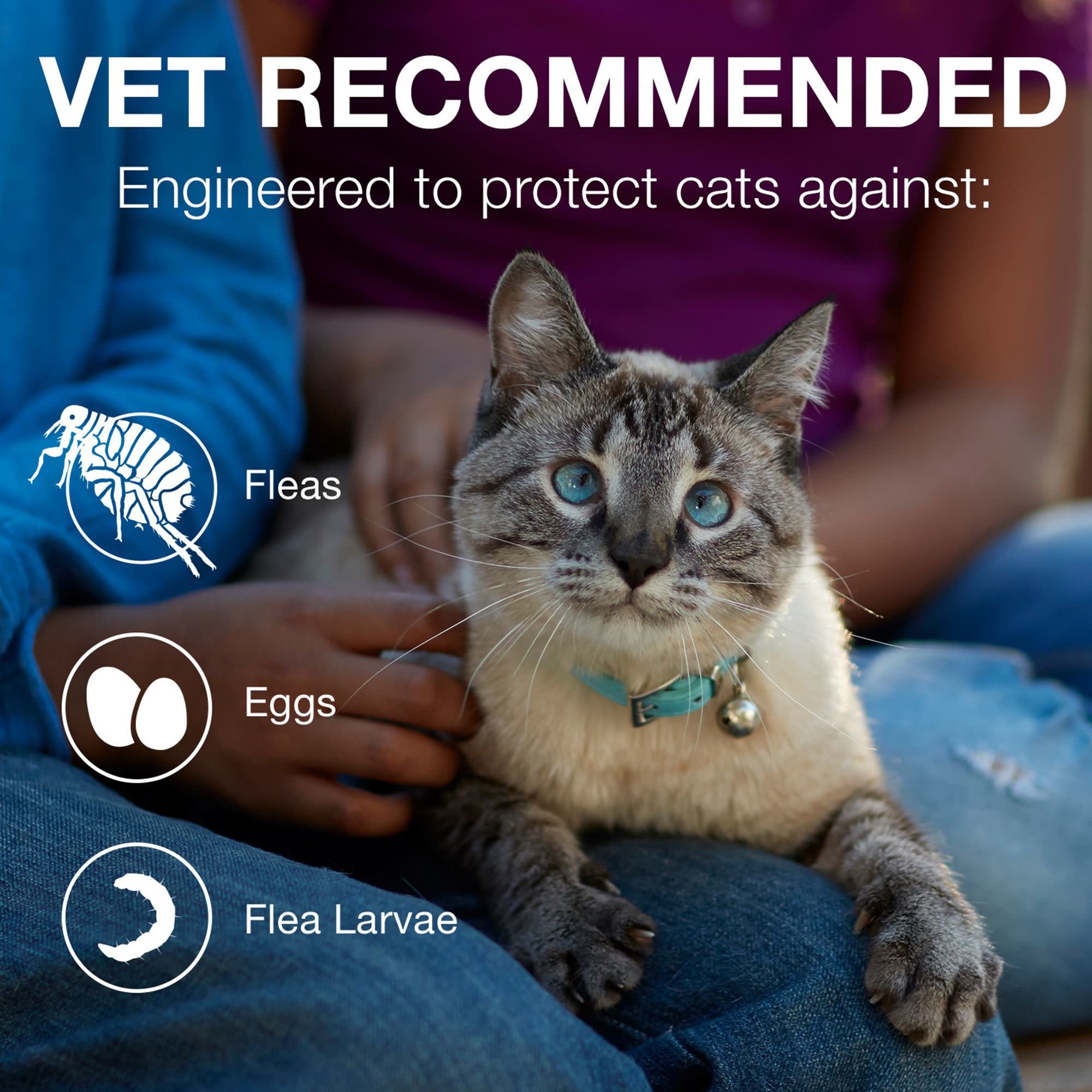 bayer advantage ii for cats