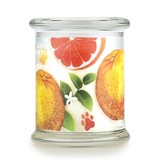 Pet House Candle Pet House Candle Red Grapefruit