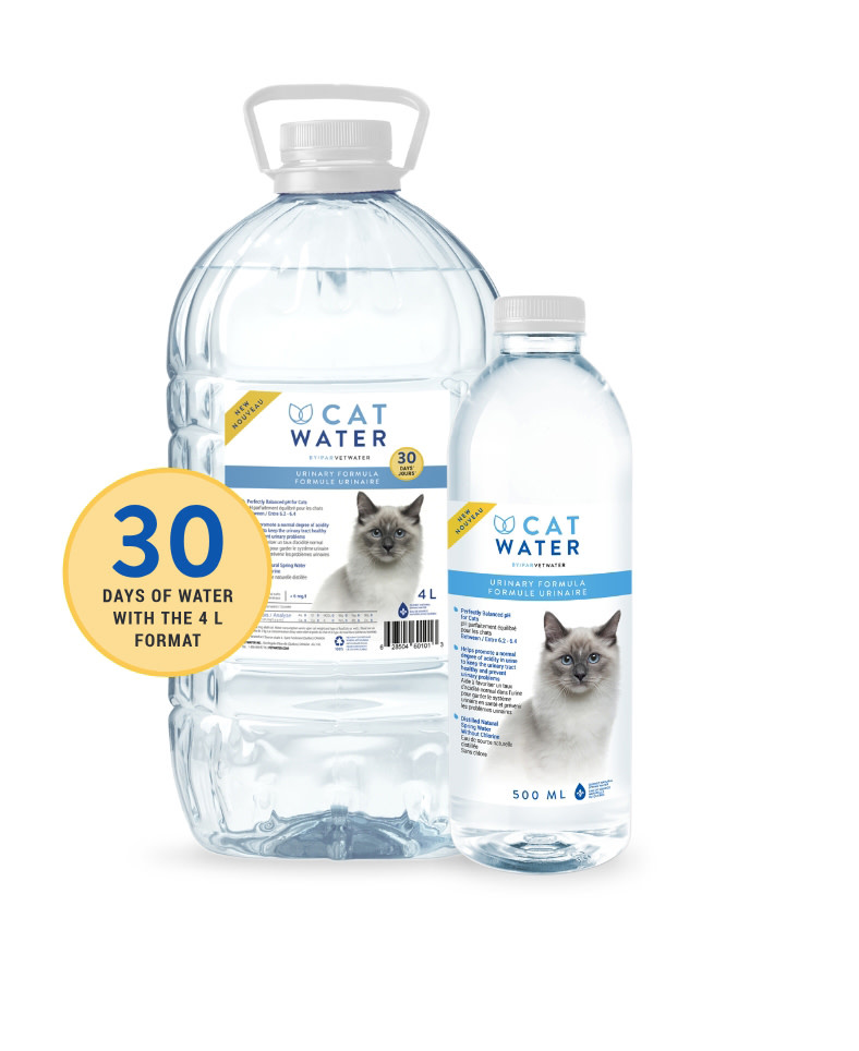 Vetwater Vetwater Cat Water 16.9oz
