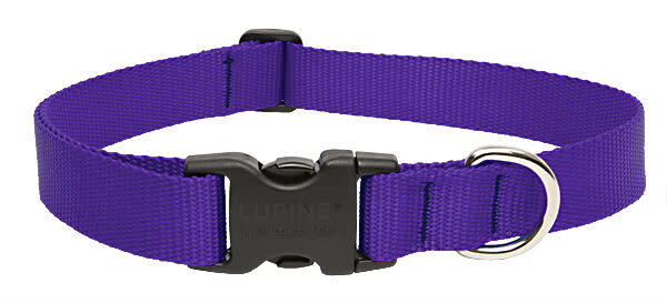 Lupine Lupine 12"-20" Collar Purple