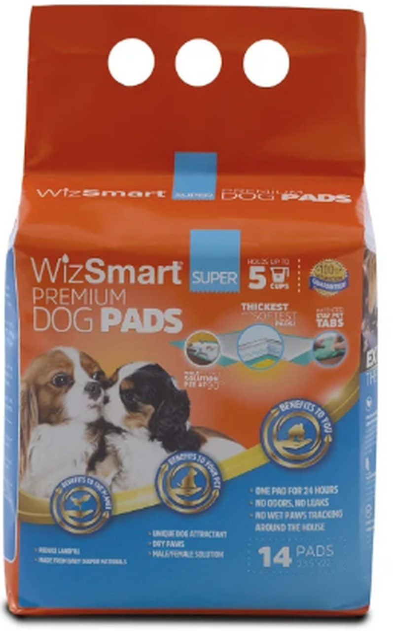 boxer dog accessories