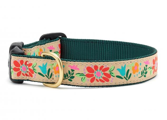 Up Country Collar Tapestry Floral SM Narrow