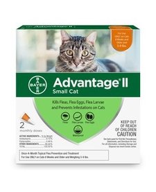 Advantage Cat SM Individual