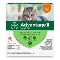 Advantage Cat SM Individual