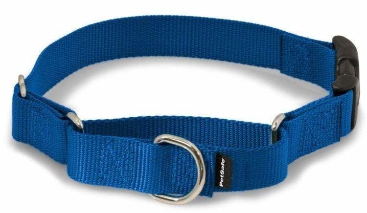Petsafe- General Martingale Quick Snap Collar, Royal Blue S 3/4"