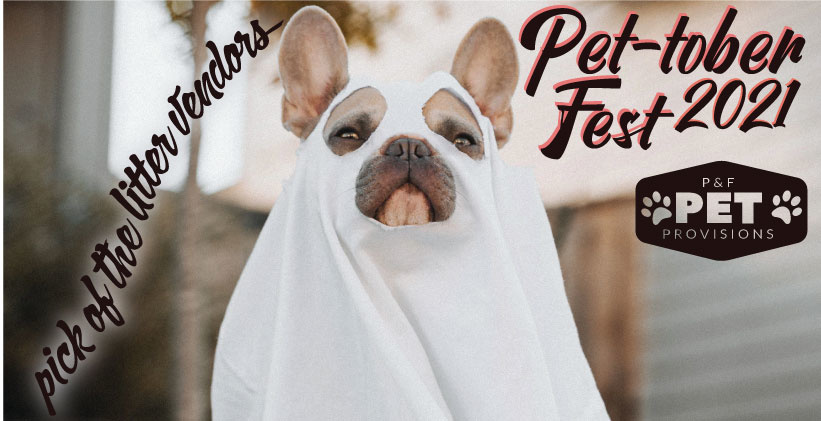 Meet Our Spectacular Vendors for Pet-tober Fest 2021