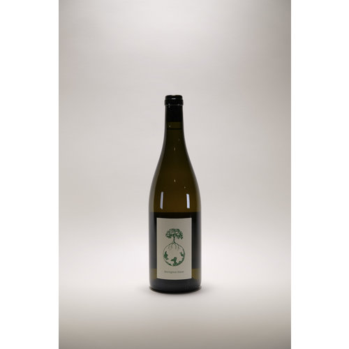 Weingut Werlitsch, Sauvignon Opok, 2016 750 ml Weingut Werlitsch, Sauvignon Opok, 2016 750 ml