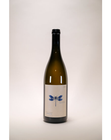 Andreas Tscheppe, Blue Dragonfly, 2023, 750 ml