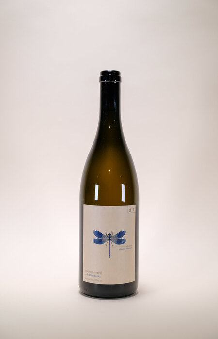 Andreas Tscheppe, Blue Dragonfly, 2020, 750 ml