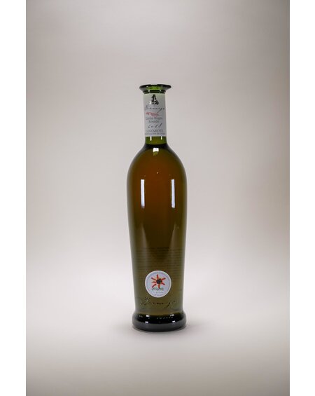 Bodegas Los Bermejos Bodegas Los Bermejos, Listan Negro Rosado, 2023, 750ml