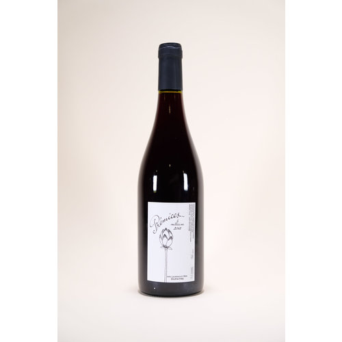 Dufaitre Premices, Gamay, 2021, 750 ml Dufaitre Premices, Gamay, 2021, 750 ml