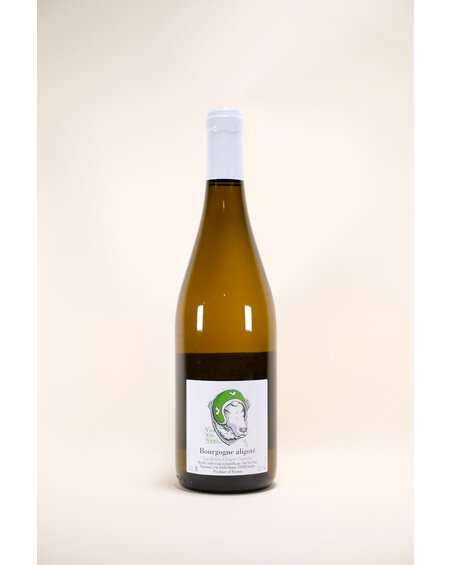 Vini Viti Vinci, Bourgogne Aligote, 2018, 750 ml