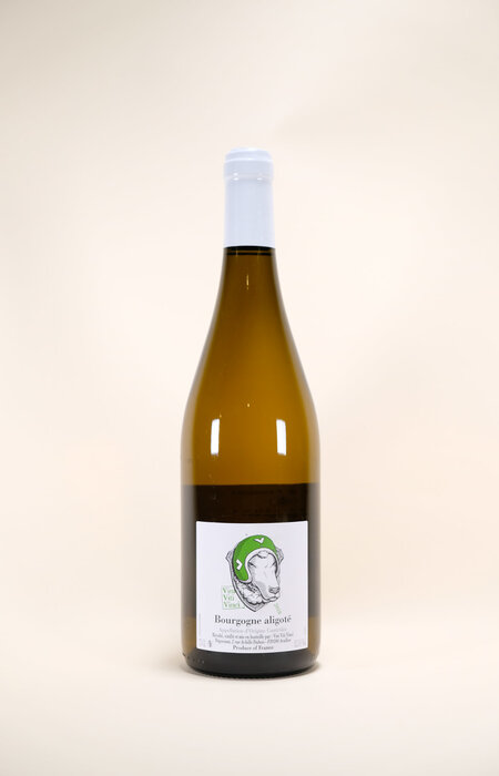 Vini Viti Vinci, Bourgogne Aligote, 2018, 750 ml