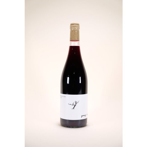 Early Mountain Vineyards, Young Wine, Chambourcin, 2019, 750 ml