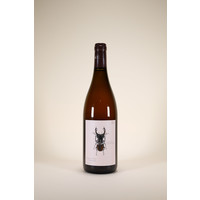 Andreas Tscheppe, Stag Beetle, 2012, 750ml