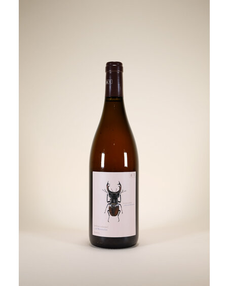 Andreas Tscheppe, Stag Beetle, 2012, 750ml