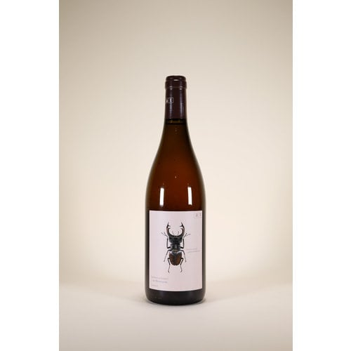 Andreas Tscheppe, Stag Beetle, 2012, 750ml