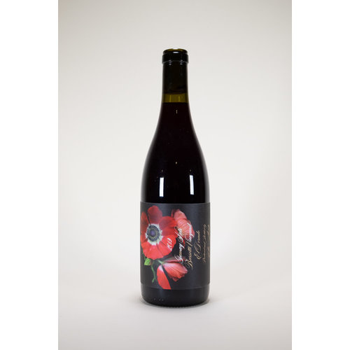 Jolie-Laide, Gamay Noir, El Dorado, Barsotti Vineyard, 2019, 750 ml Jolie-Laide, Gamay Noir, El Dorado, Barsotti Vineyard, 2019, 750 ml