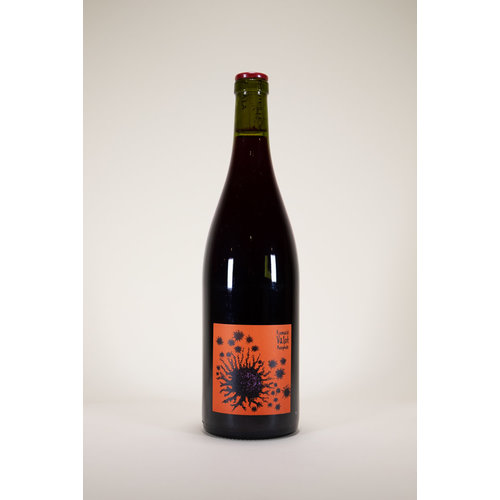 Romuald Valot, Beaujolais Village, 2019, 750ml Romuald Valot, Beaujolais Village, 2019, 750ml