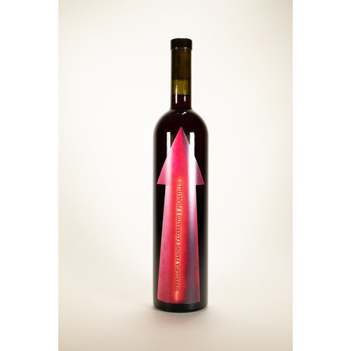 Gabrio Bini, Fanino Red, Serragghia, 2021, 750 ml