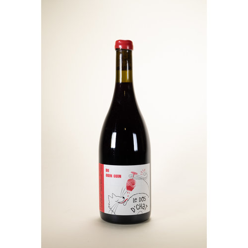 Domaine de Saint-Pierre, Le Dos D'Chat, Quin Quin, 2020, 750 ml Domaine de Saint-Pierre, Le Dos D'Chat, Quin Quin, 2020, 750 ml
