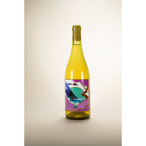 Grape Republic, Anfora Sauvignon Blanc, Yamagata White, 2019, 750 ml