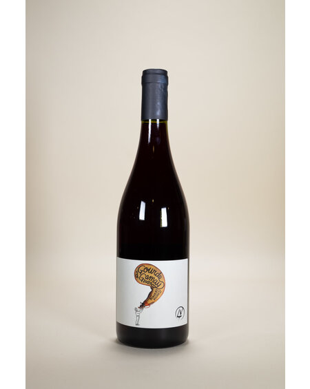 Laura Lardy, La Gourde A Gamay, 2023, 750 ml