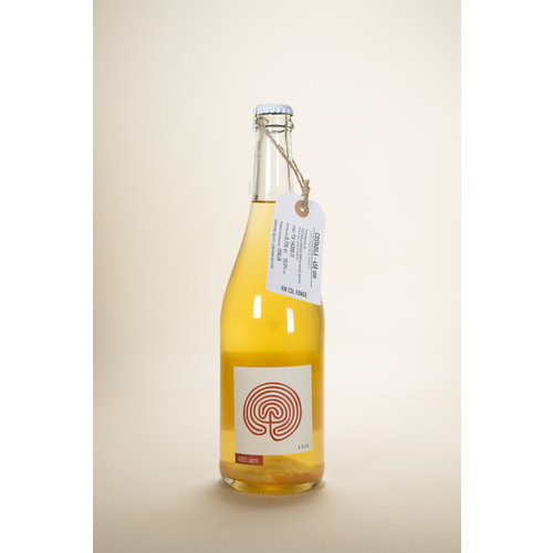 Costadila, Vino Bianco Frizzante, 450slm, NV, 750 ml Costadila, Vino Bianco Frizzante, 450slm, NV, 750 ml