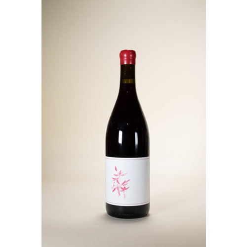 Pinot Noir - Stranger Wines and Spirits